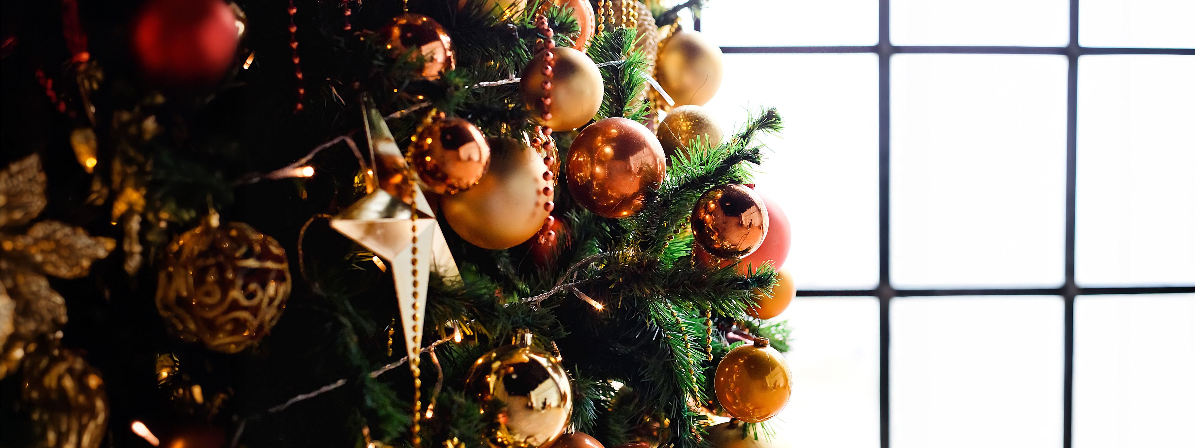 3840x1440-PORTADA-BLOG_5