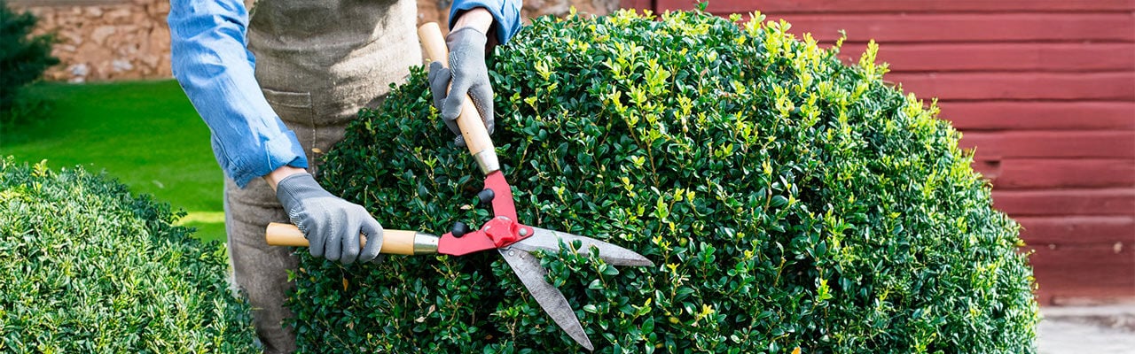 5 consejos para mantener tu casa mas segura-1