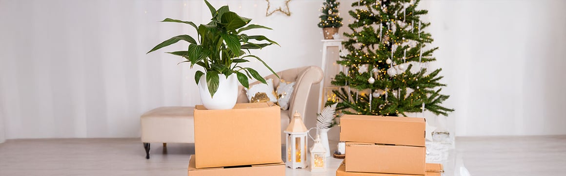 Cual es la mejor epoca para comprar casa o apartamento_secundaria.jpg