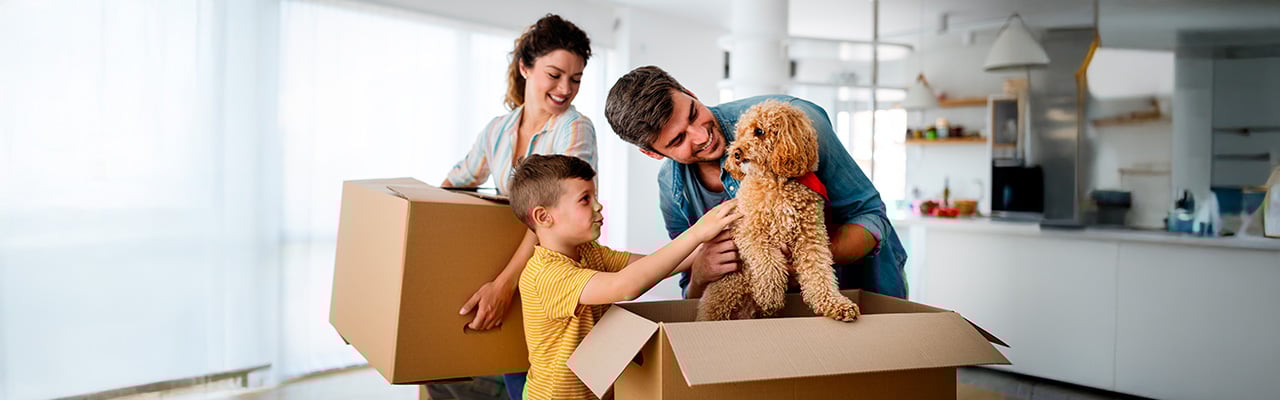Razones para elegir una vivienda en familia