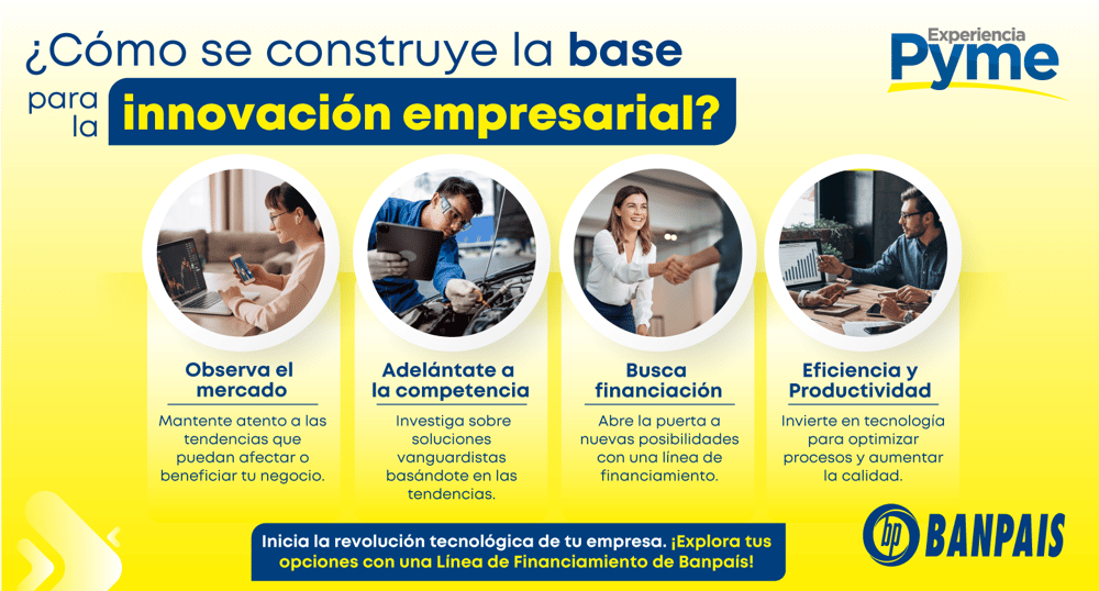 Infografía-1