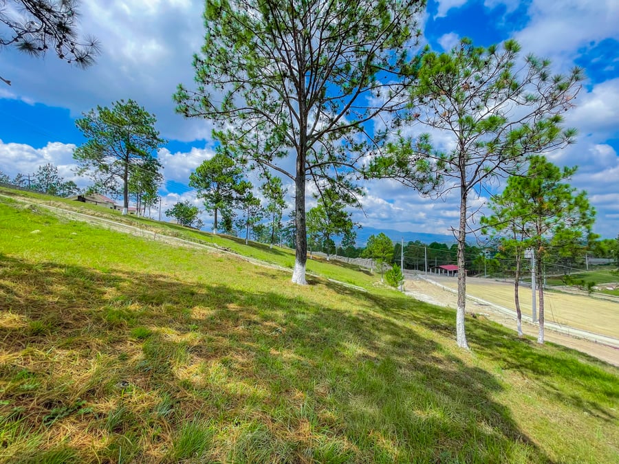RESIDENCIAL LOMA ALTA 
